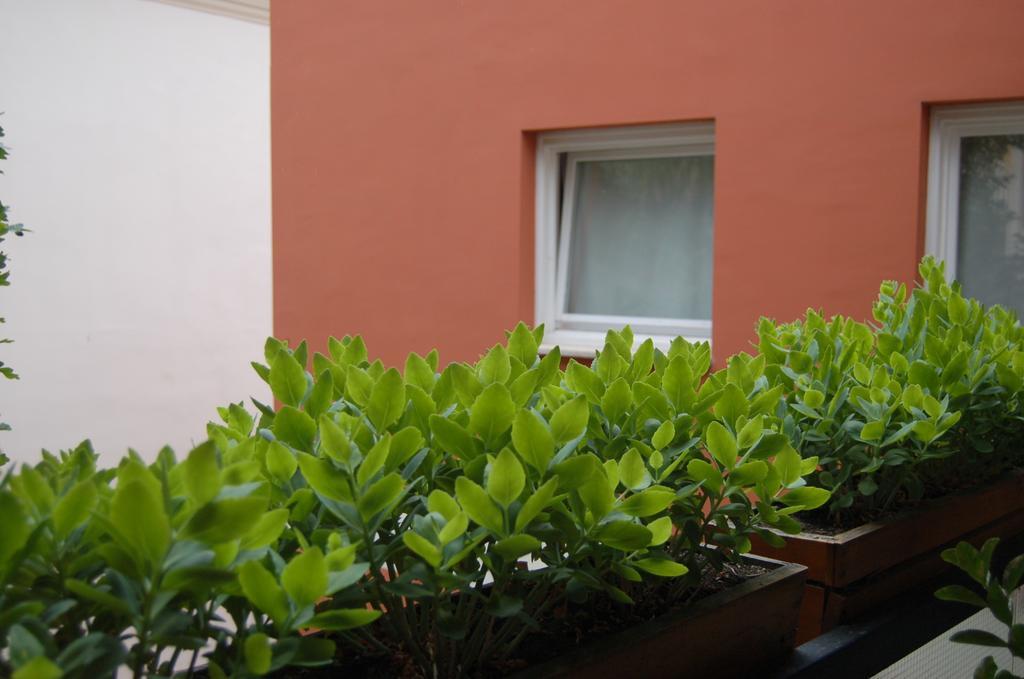 Buda Castle Apartments Budapest Phòng bức ảnh