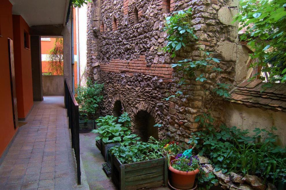 Buda Castle Apartments Budapest Ngoại thất bức ảnh